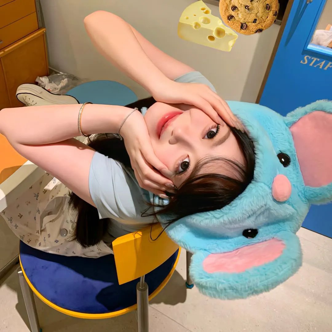 会飞的驴